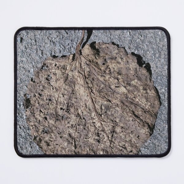 Item preview, dried leaf fallen on the road designed and sold by rareravings.