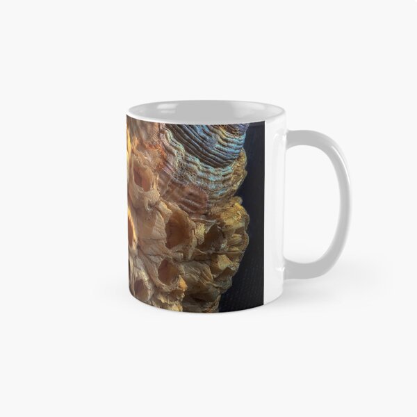 Item preview, Common whelk and barnacles designed and sold by Leighton Collins.