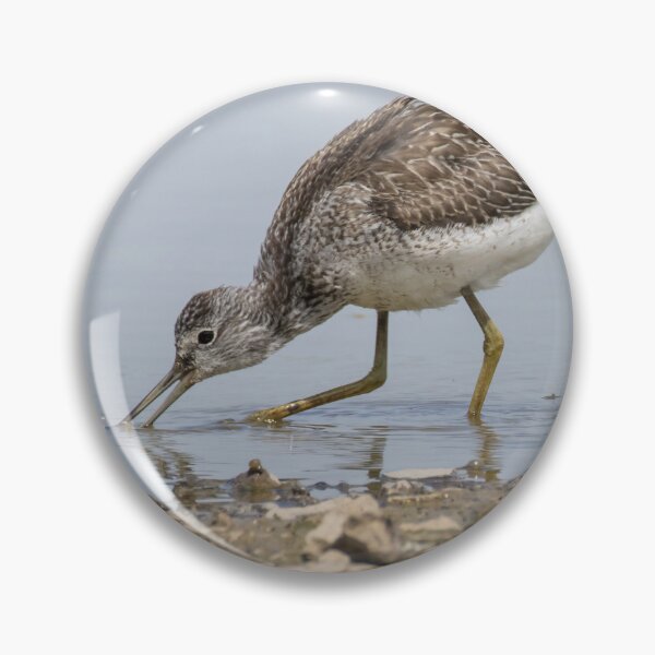 Item preview, Common Greenshank designed and sold by LaurenTucker.