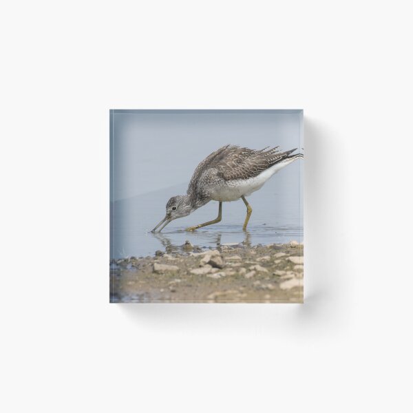 Item preview, Common Greenshank designed and sold by LaurenTucker.
