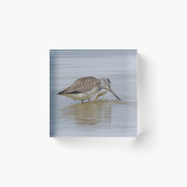 Item preview, Common Greenshank designed and sold by LaurenTucker.