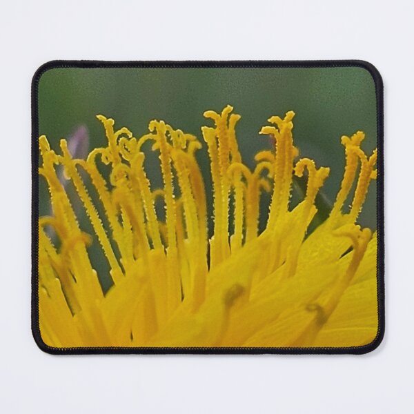 Item preview, Dandelion designed and sold by A-Bee-444.