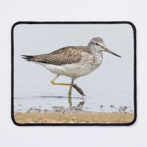 Item preview, Common Greenshank designed and sold by LaurenTucker.