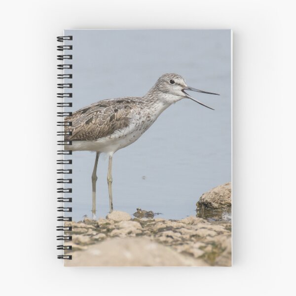 Item preview, Common Greenshank designed and sold by LaurenTucker.