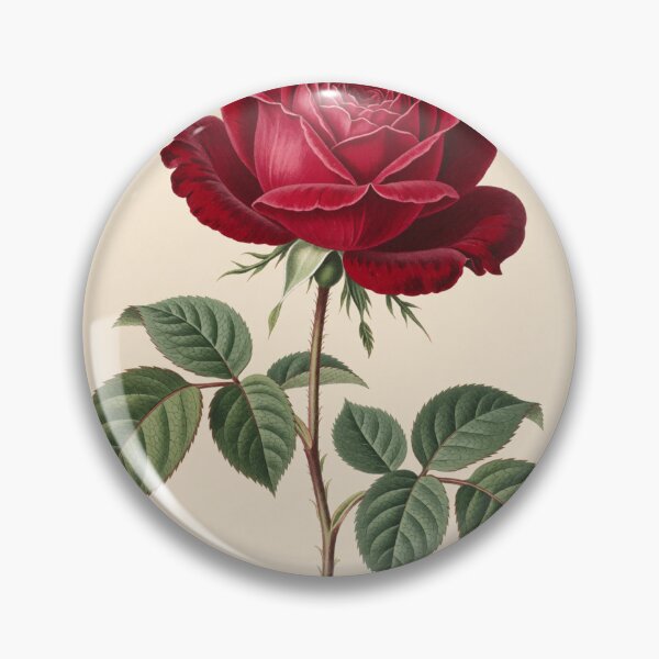 Item preview, Classic Red Rose Botanical Illustration designed and sold by CooksCreators.