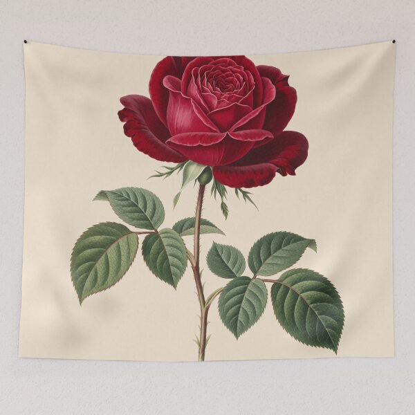 Item preview, Classic Red Rose Botanical Illustration designed and sold by CooksCreators.