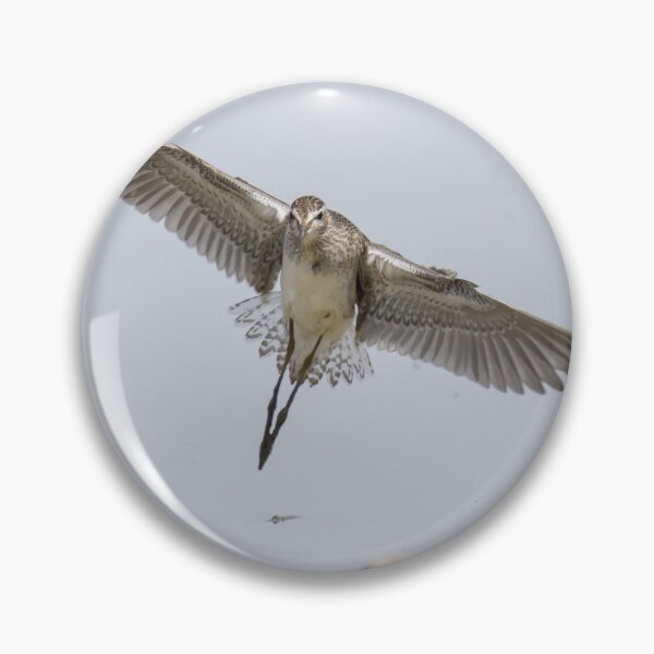 Item preview, Wood Sandpiper designed and sold by LaurenTucker.