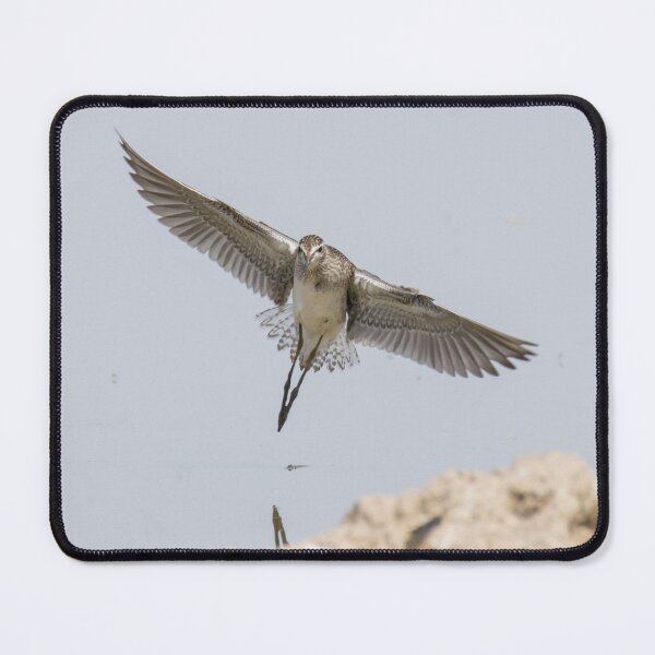 Item preview, Wood Sandpiper designed and sold by LaurenTucker.