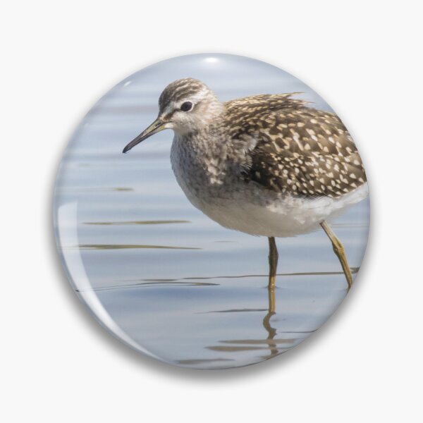 Item preview, Wood Sandpiper designed and sold by LaurenTucker.