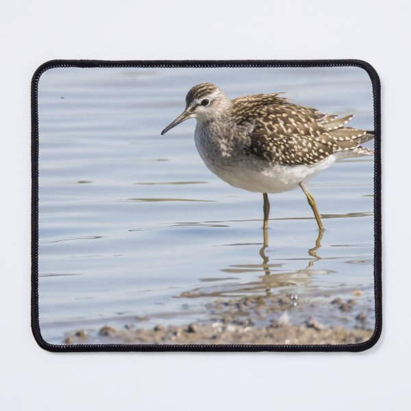 Item preview, Wood Sandpiper designed and sold by LaurenTucker.