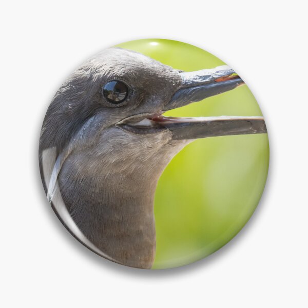Item preview, Inca Tern designed and sold by LaurenTucker.