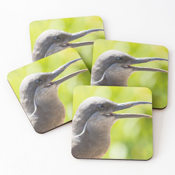 Item preview, Inca Tern designed and sold by LaurenTucker.