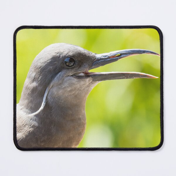Item preview, Inca Tern designed and sold by LaurenTucker.