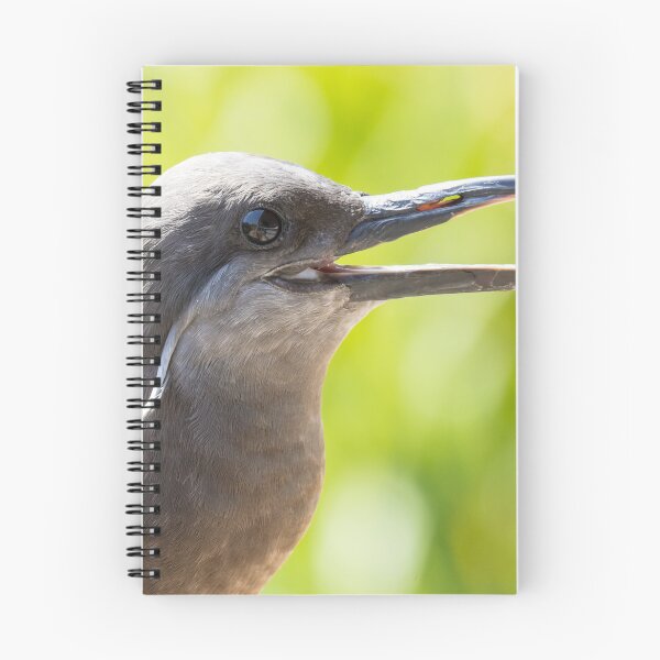 Item preview, Inca Tern designed and sold by LaurenTucker.