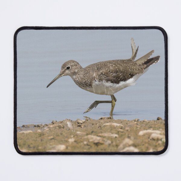 Item preview, Green Sandpiper designed and sold by LaurenTucker.