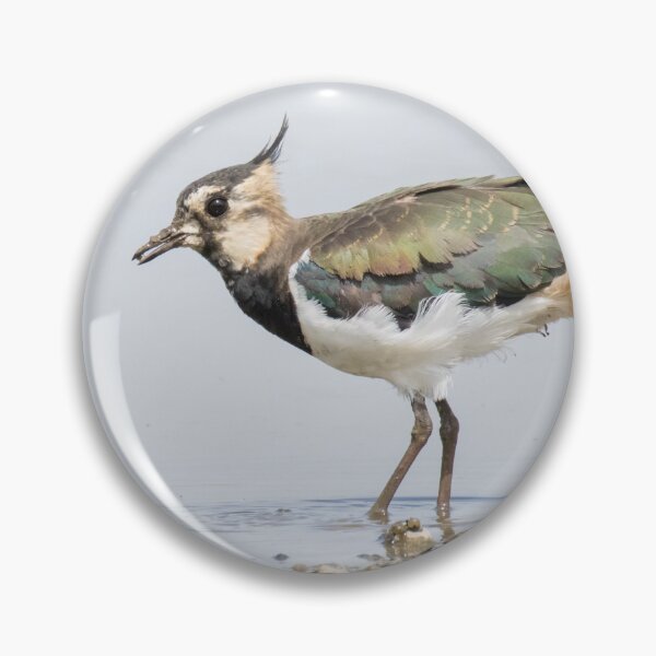 Item preview, Northern Lapwing designed and sold by LaurenTucker.