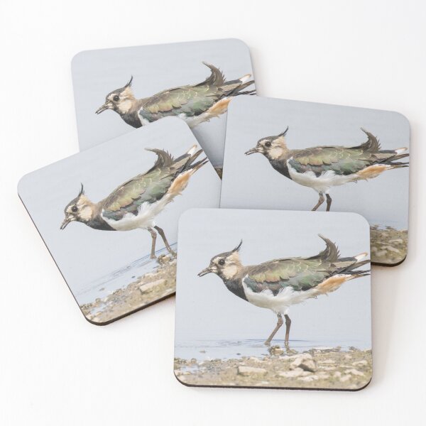 Item preview, Northern Lapwing designed and sold by LaurenTucker.