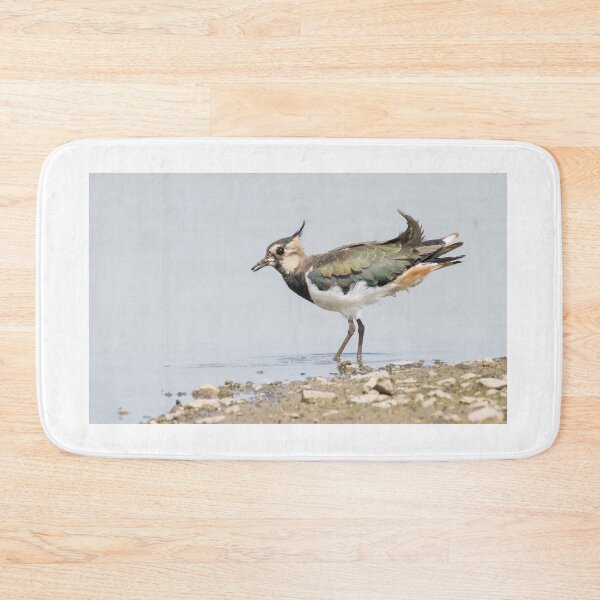Item preview, Northern Lapwing designed and sold by LaurenTucker.