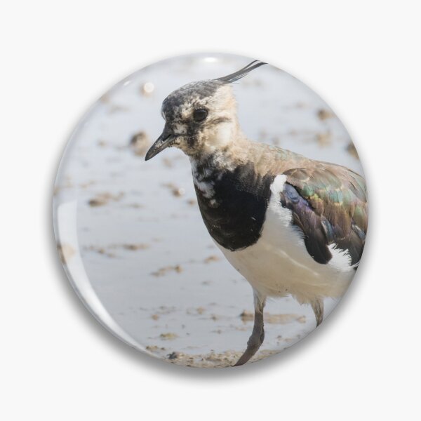 Item preview, Northern Lapwing designed and sold by LaurenTucker.