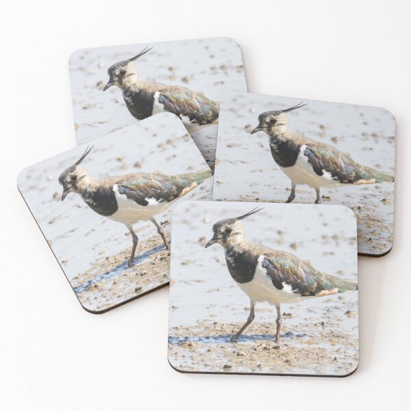 Item preview, Northern Lapwing designed and sold by LaurenTucker.