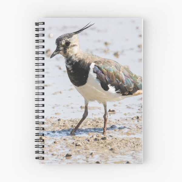 Item preview, Northern Lapwing designed and sold by LaurenTucker.