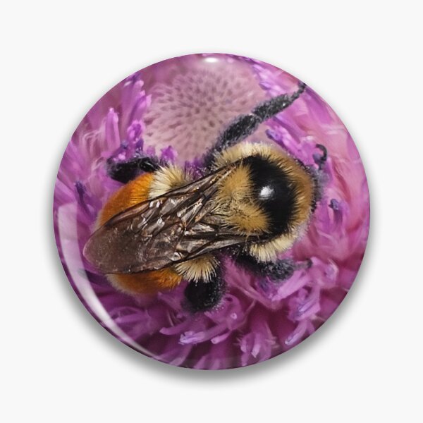 Item preview, A bee enjoying breakfast designed and sold by A-Bee-444.