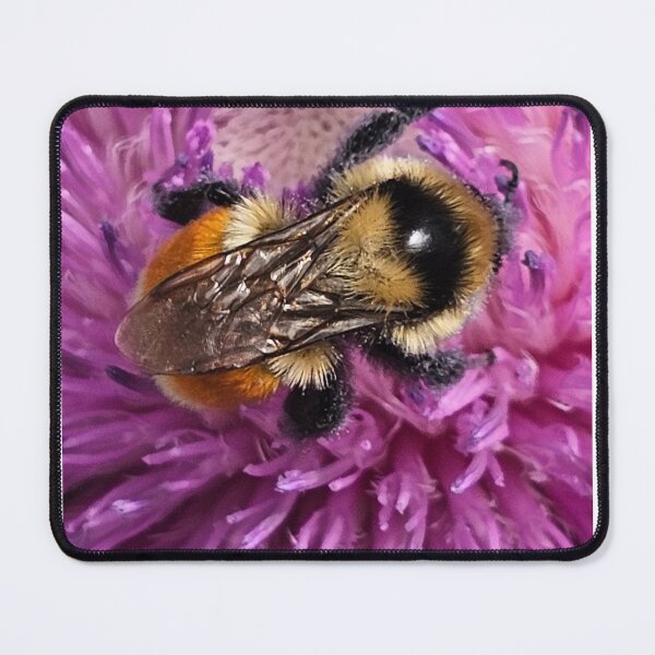 Item preview, A bee enjoying breakfast designed and sold by A-Bee-444.