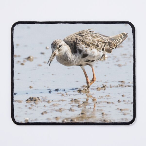 Item preview, Ruff designed and sold by LaurenTucker.
