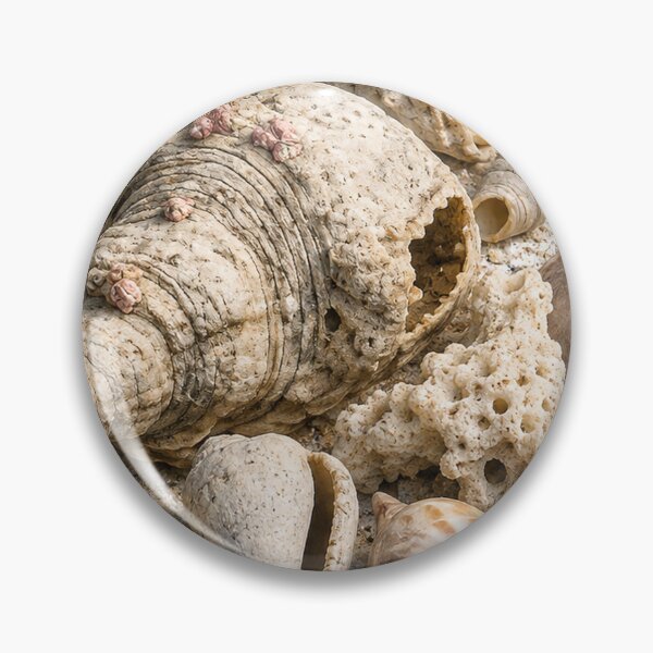 Item preview, Beachcombing designed and sold by Malwasneues.
