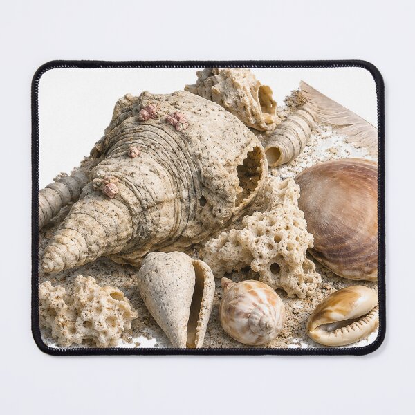 Item preview, Beachcombing designed and sold by Malwasneues.