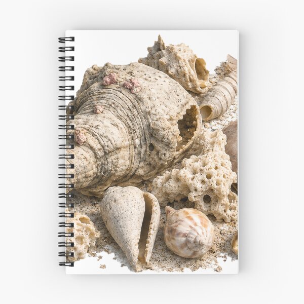 Item preview, Beachcombing designed and sold by Malwasneues.