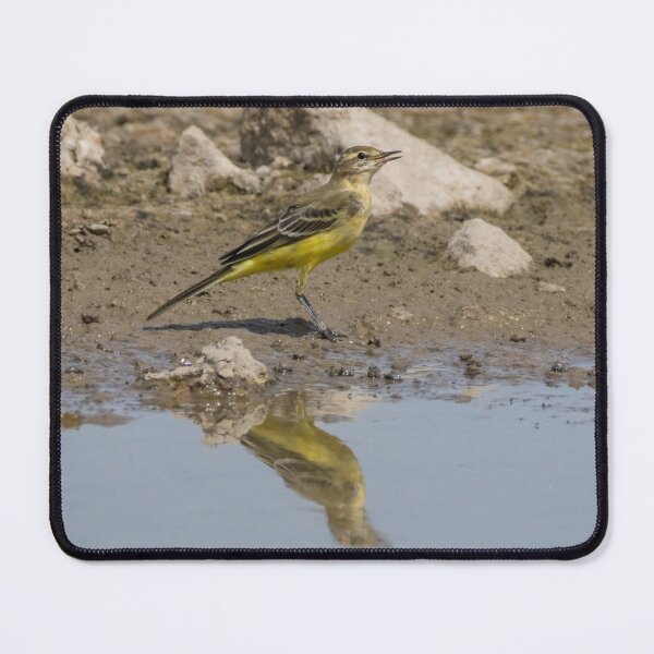 Item preview, Western Yellow Wagtail designed and sold by LaurenTucker.