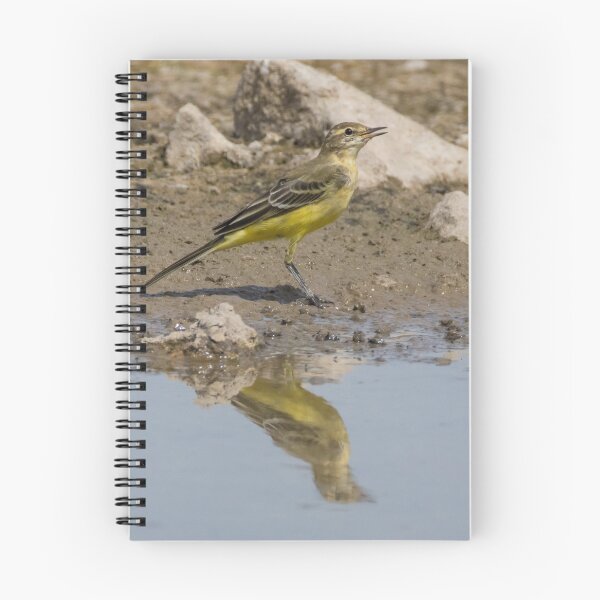 Item preview, Western Yellow Wagtail designed and sold by LaurenTucker.