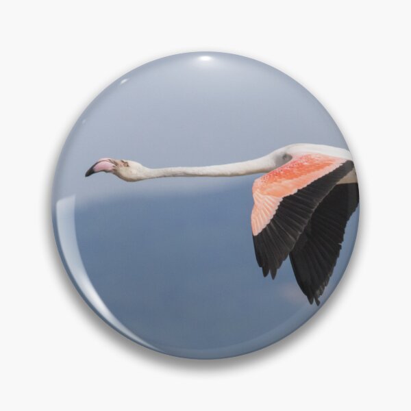 Item preview, Greater Flamingo designed and sold by LaurenTucker.