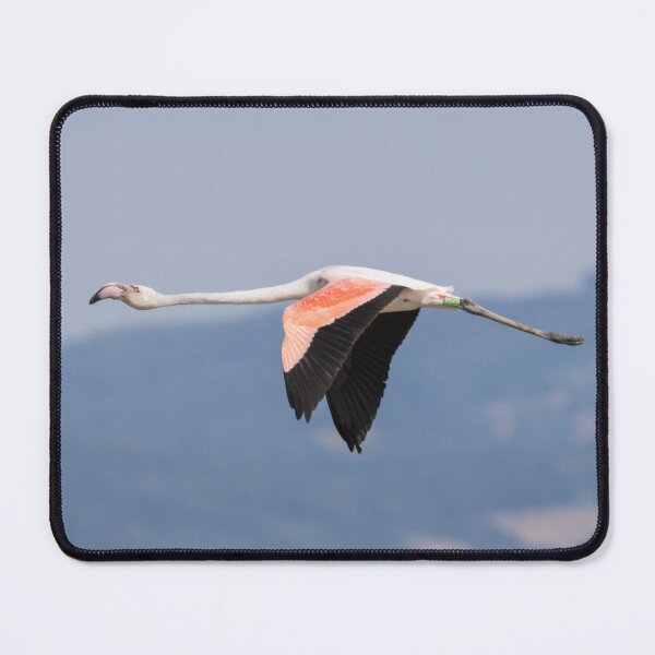 Item preview, Greater Flamingo designed and sold by LaurenTucker.