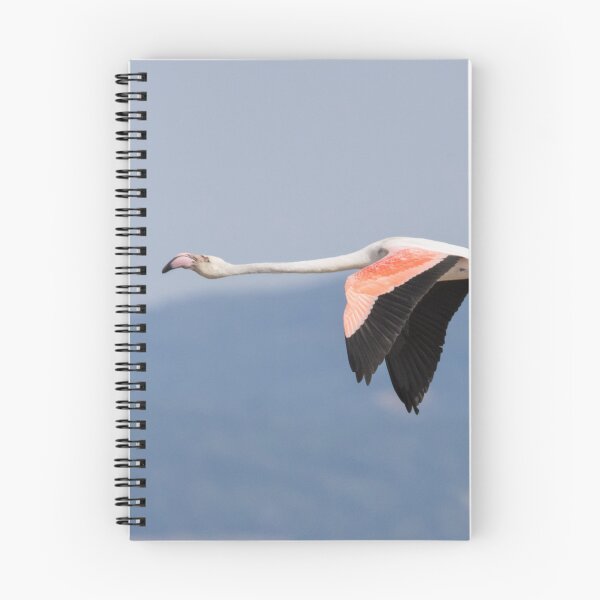 Item preview, Greater Flamingo designed and sold by LaurenTucker.