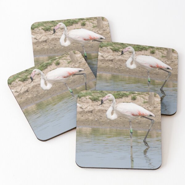 Item preview, Greater Flamingo designed and sold by LaurenTucker.