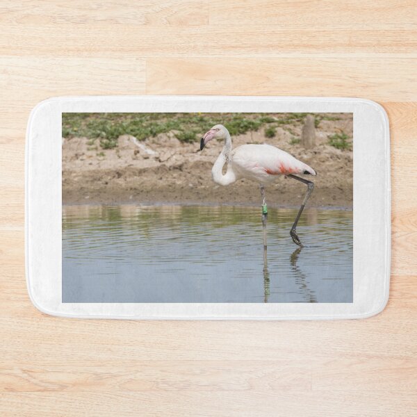 Item preview, Greater Flamingo designed and sold by LaurenTucker.
