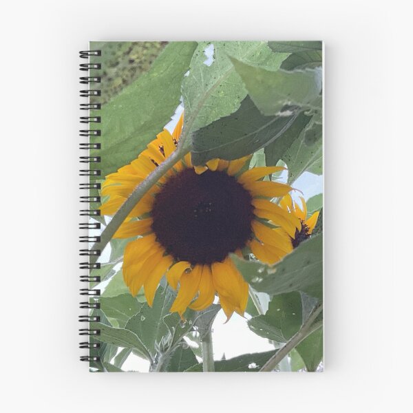 Item preview, Hello Sun designed and sold by Abeink1030.