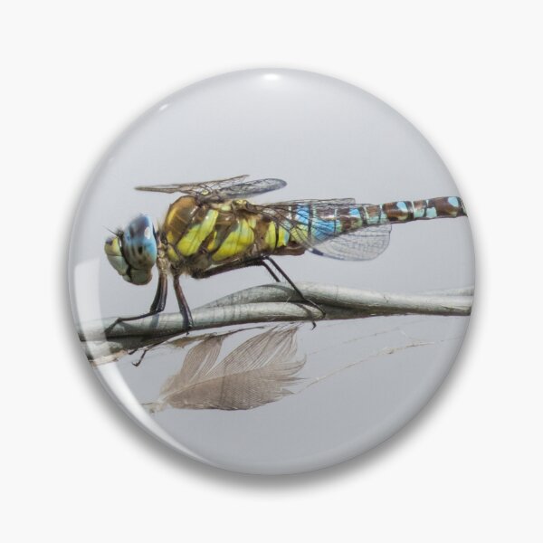 Item preview, Migrant Hawker designed and sold by LaurenTucker.