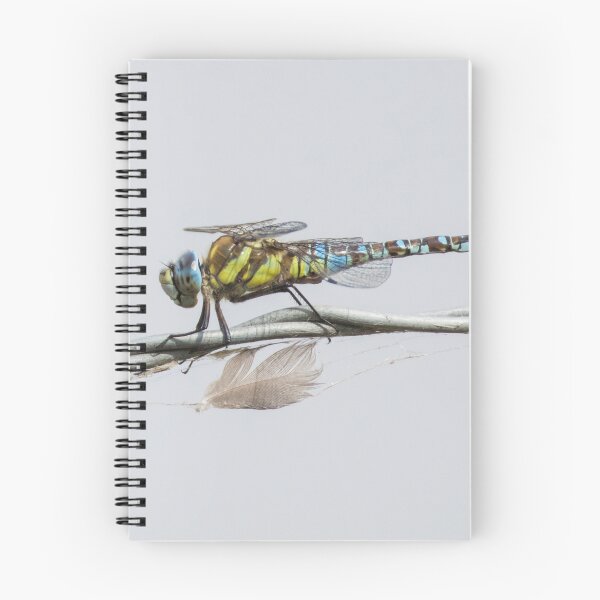 Item preview, Migrant Hawker designed and sold by LaurenTucker.