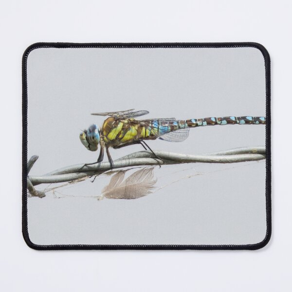 Item preview, Migrant Hawker designed and sold by LaurenTucker.