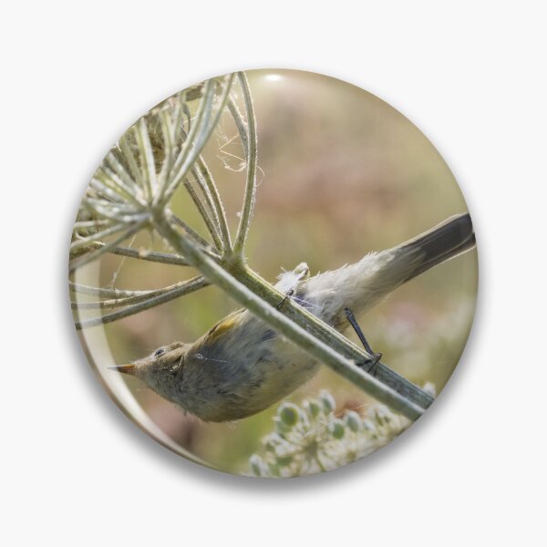 Item preview, Common Chiffchaff designed and sold by LaurenTucker.