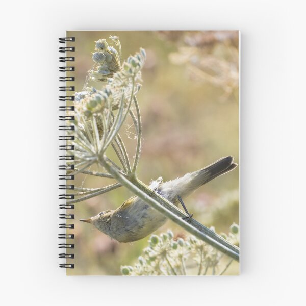 Item preview, Common Chiffchaff designed and sold by LaurenTucker.