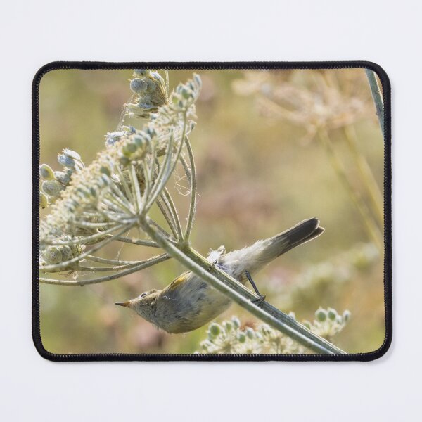 Item preview, Common Chiffchaff designed and sold by LaurenTucker.