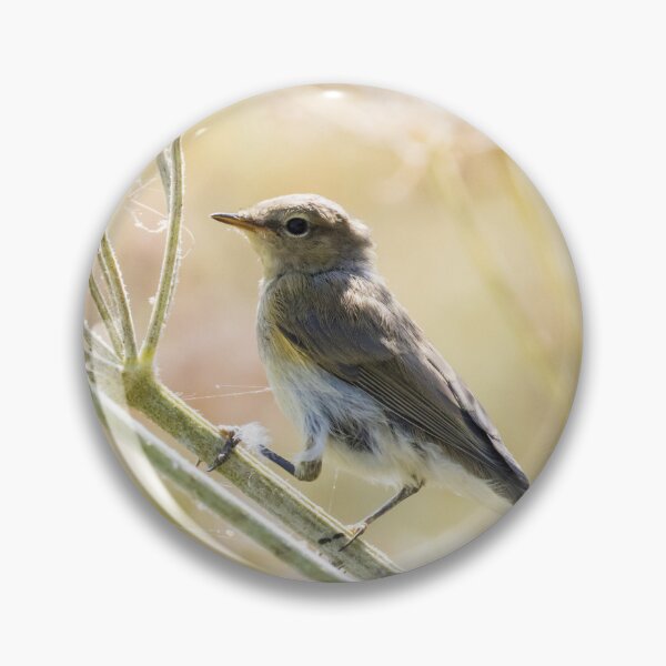 Item preview, Common Chiffchaff designed and sold by LaurenTucker.