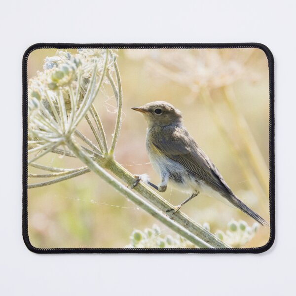 Item preview, Common Chiffchaff designed and sold by LaurenTucker.