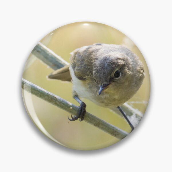 Item preview, Common Chiffchaff designed and sold by LaurenTucker.