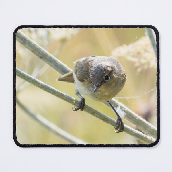 Item preview, Common Chiffchaff designed and sold by LaurenTucker.