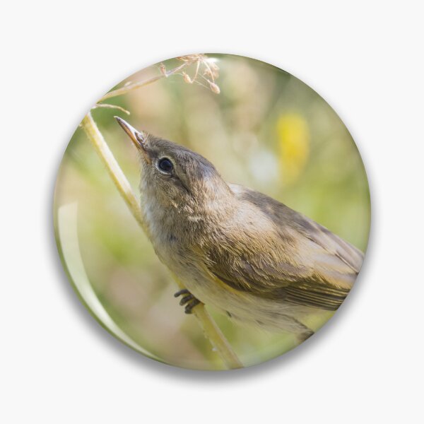 Item preview, Common Chiffchaff designed and sold by LaurenTucker.